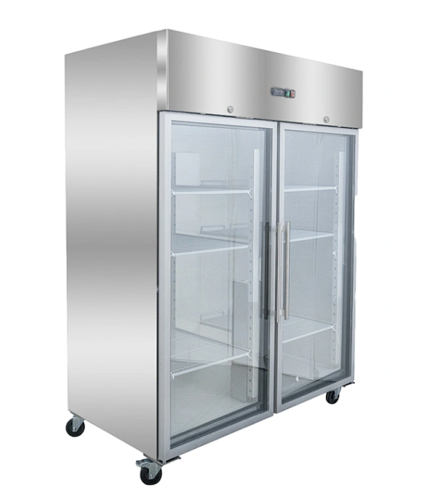 Double Door Glass Freezer